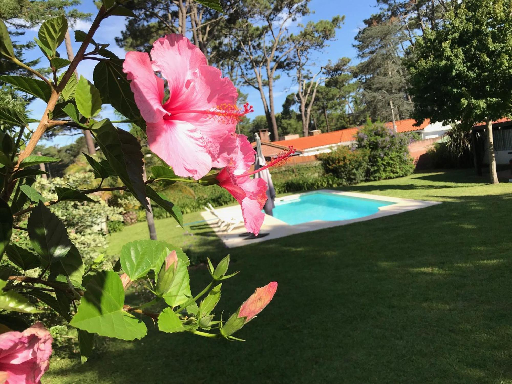 Villa El Gauchito à Punta del Este Extérieur photo